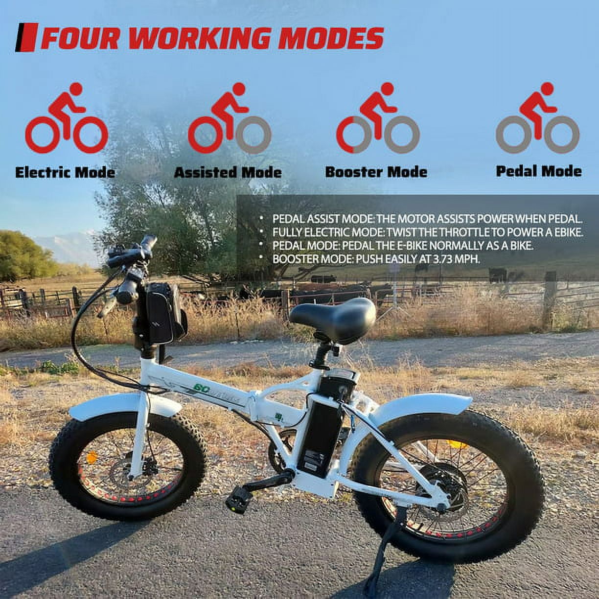 ECOTRIC Folding 20" Fat Tire Electric Bike 500 W Removable Battery Pedal Assist Power A-E516646